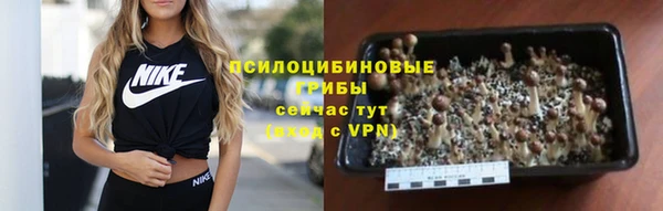 кокаин Алексин