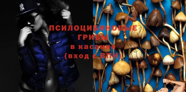 apvp Алзамай