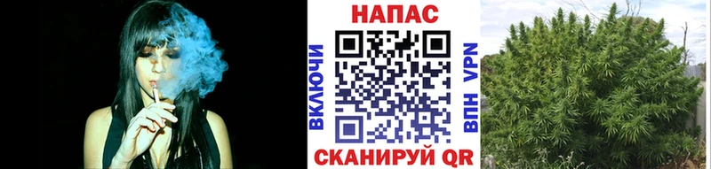 МАРИХУАНА тримм  Разумное 